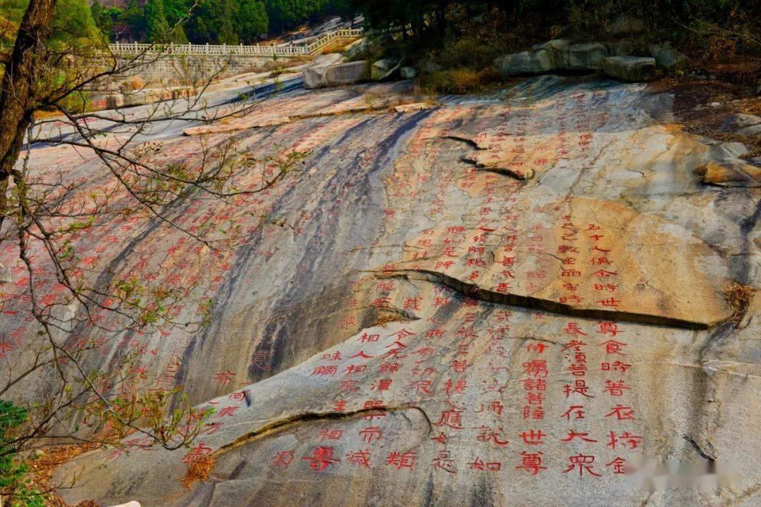 骨科护理院逃生